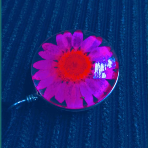 iago Mascarenhas dos Santos