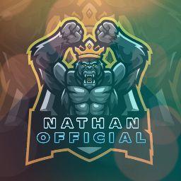 NATHAN OFFICIALS