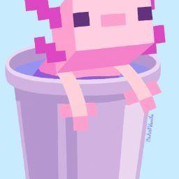 Gabriel Velez Echeverria