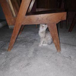 Wulan Raffa
