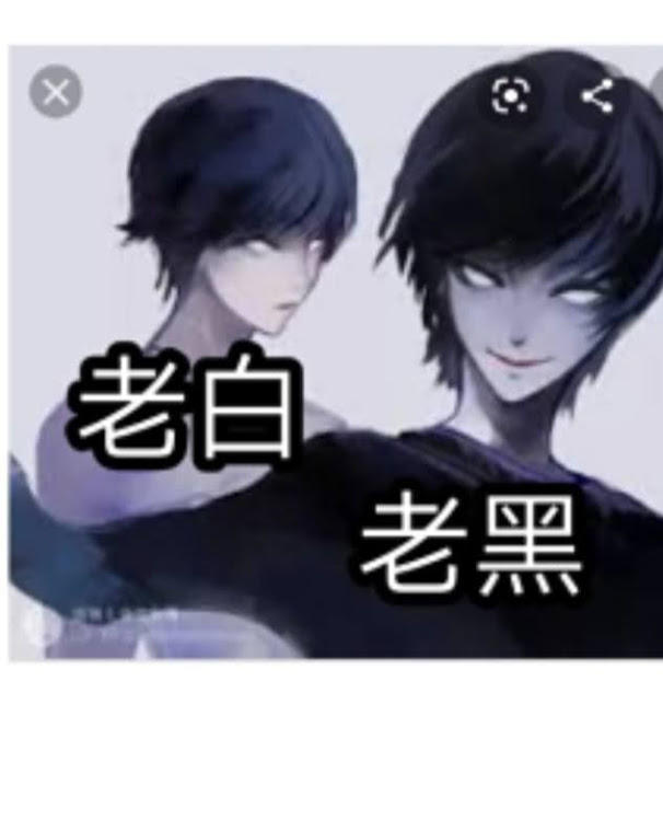 黑白帅兄弟吖