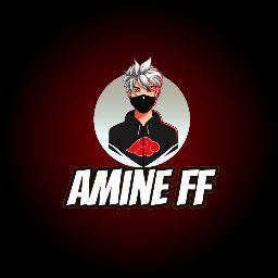 AMINE FF