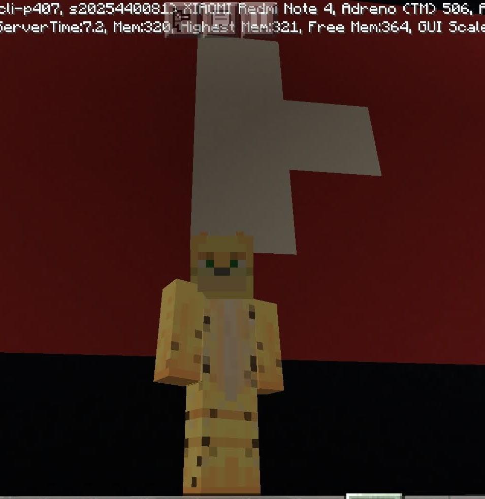 АЦЫЛОТ БАРСИК