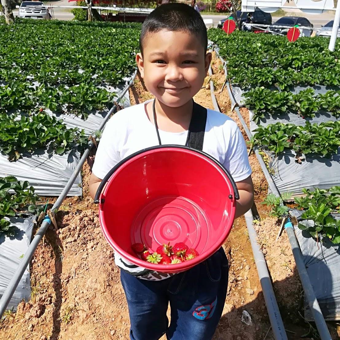 ชไมพร ภูศรี