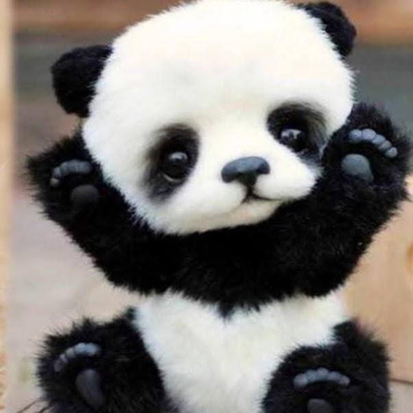 Alex Alerea it will be My ship