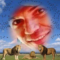 Marcos Roberto Lourençon