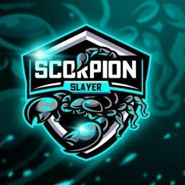 Scorpion slayer gaming