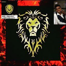 NITHIN STARK NSL GALAXY