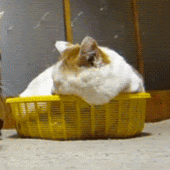 ทิวากร มะลีจันทร์