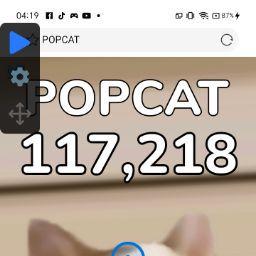 ณิชาภัทธ ภิญโญยิ่ง