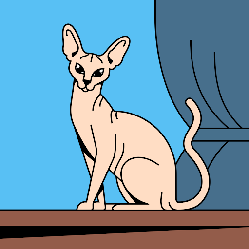 Sahil Shaikhsahid shakh