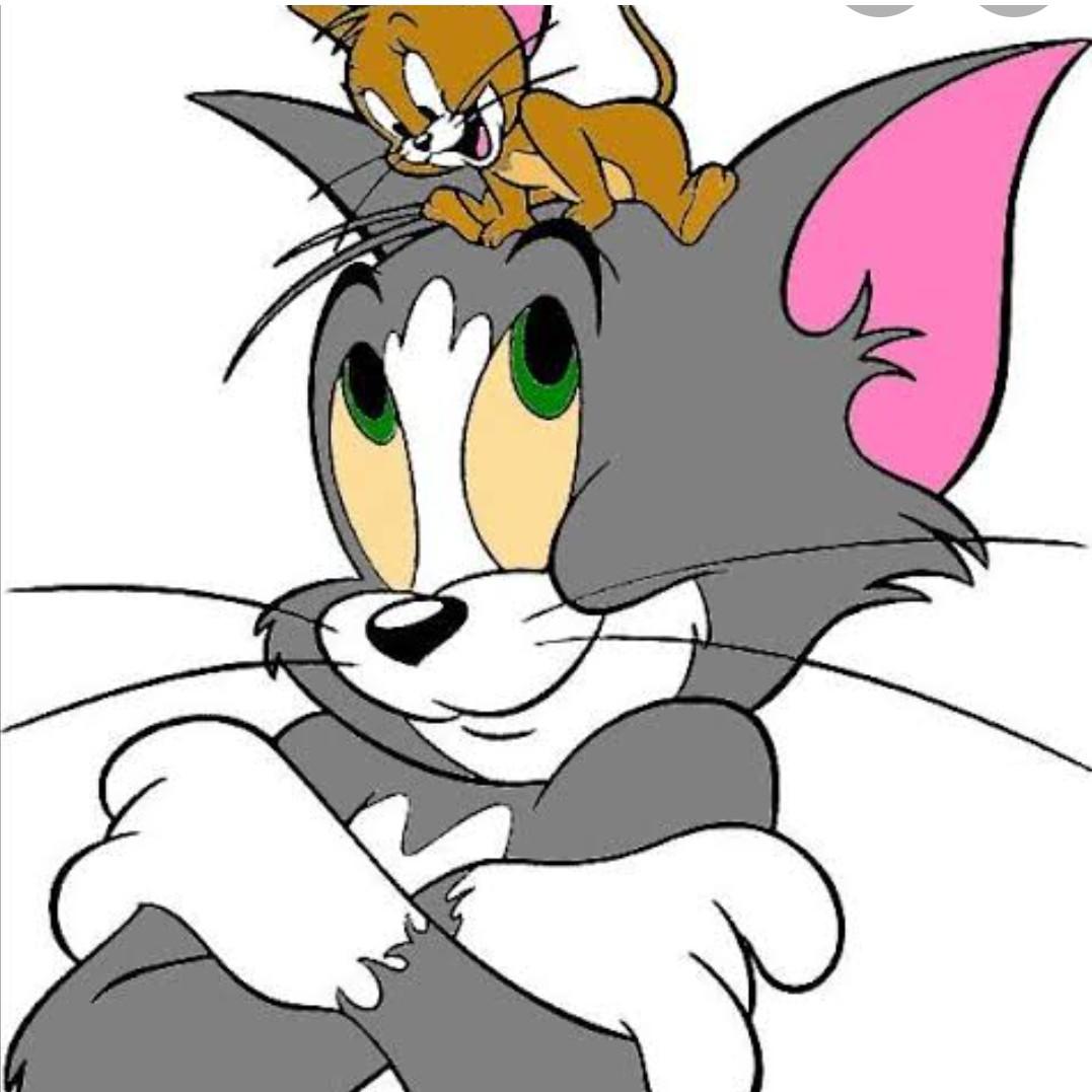 tom and Jerry chase Game