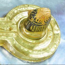 help take Akash Prajapati