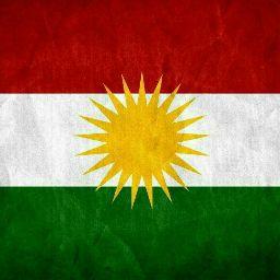 شاهین قادری