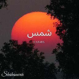 Shawon Islam