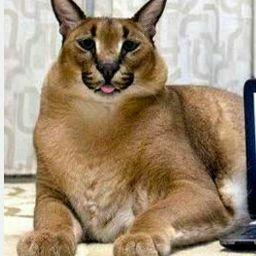 Арслан Ховалыг