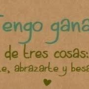 luis fernando pamal contreras