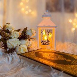 محمود عبد العزيز