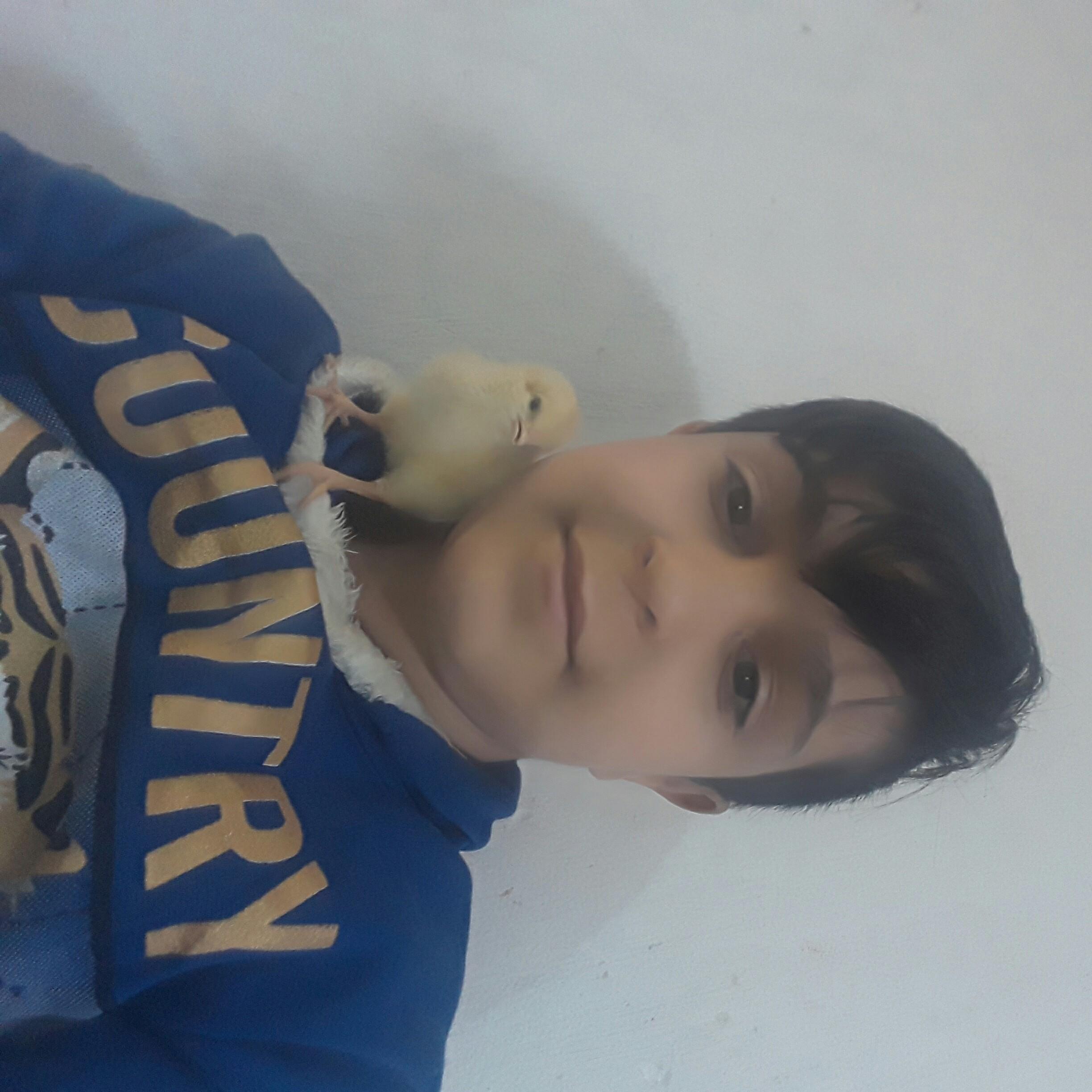 حيدر جلاد بوبجي