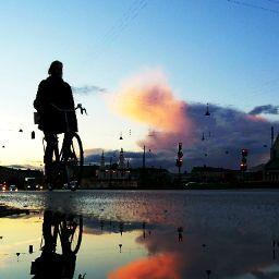 ホンマでっかTV？！