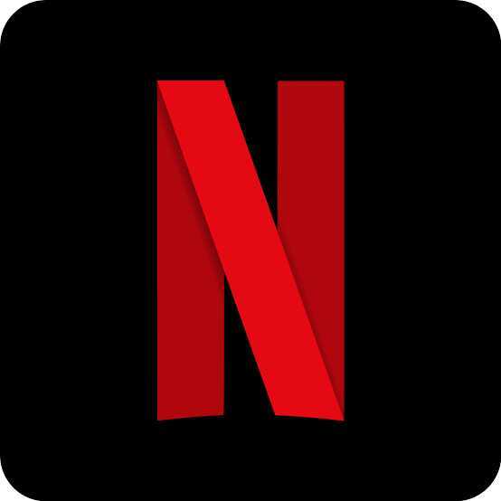 NETFLIX GO