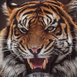 Илья Самарин