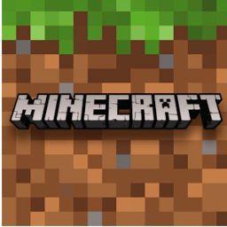 MINECRAFT GAMER
