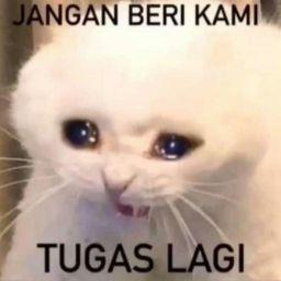 Zahid Rafi Daffa Ashari