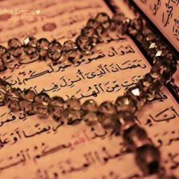 פאטמה חוסין