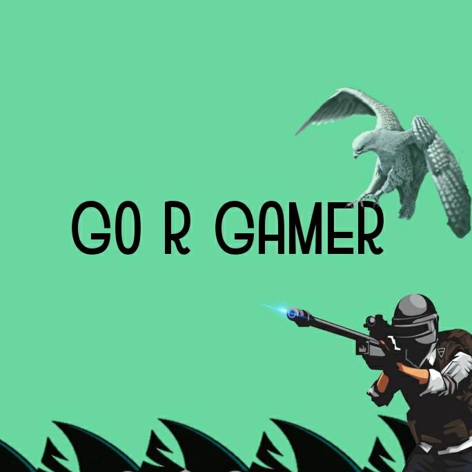 Go r Gamer