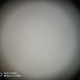 منتظر بوصالح