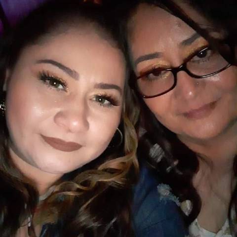 ark survival evolved