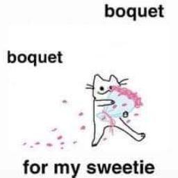 [ 레즈비언]Salty