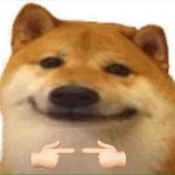 Doge ngoo
