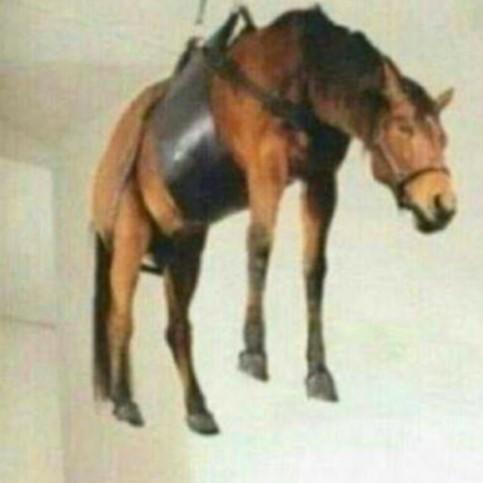 말걸지말아주세요