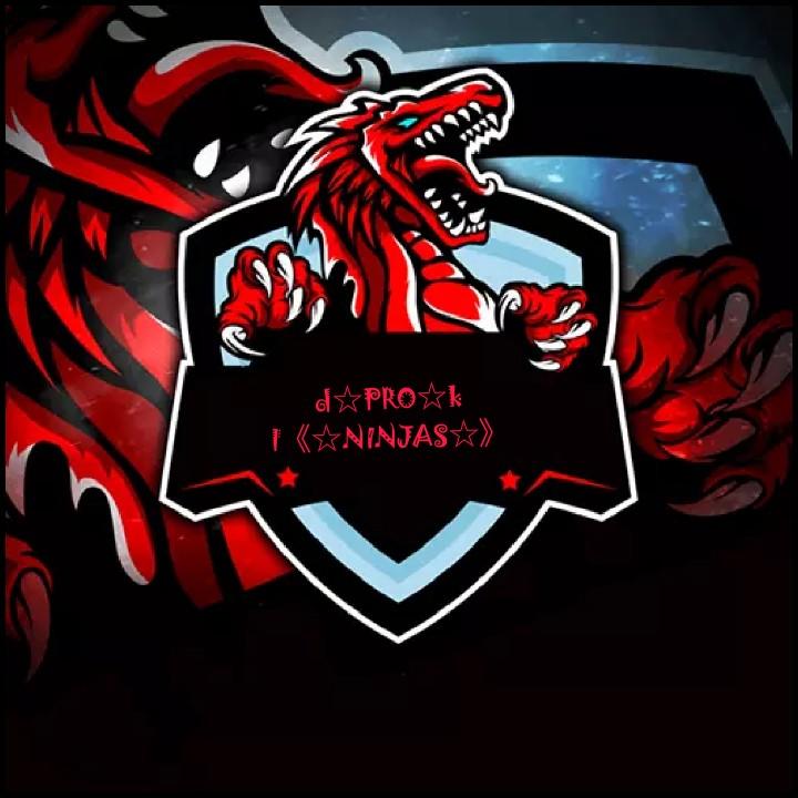 {NINJA}