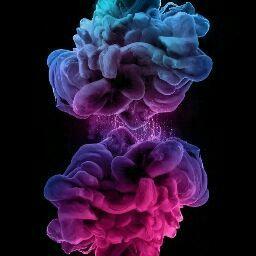 Шилин Антон