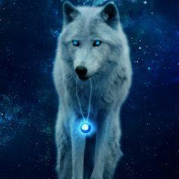 ThànhĐatj Nguyễn