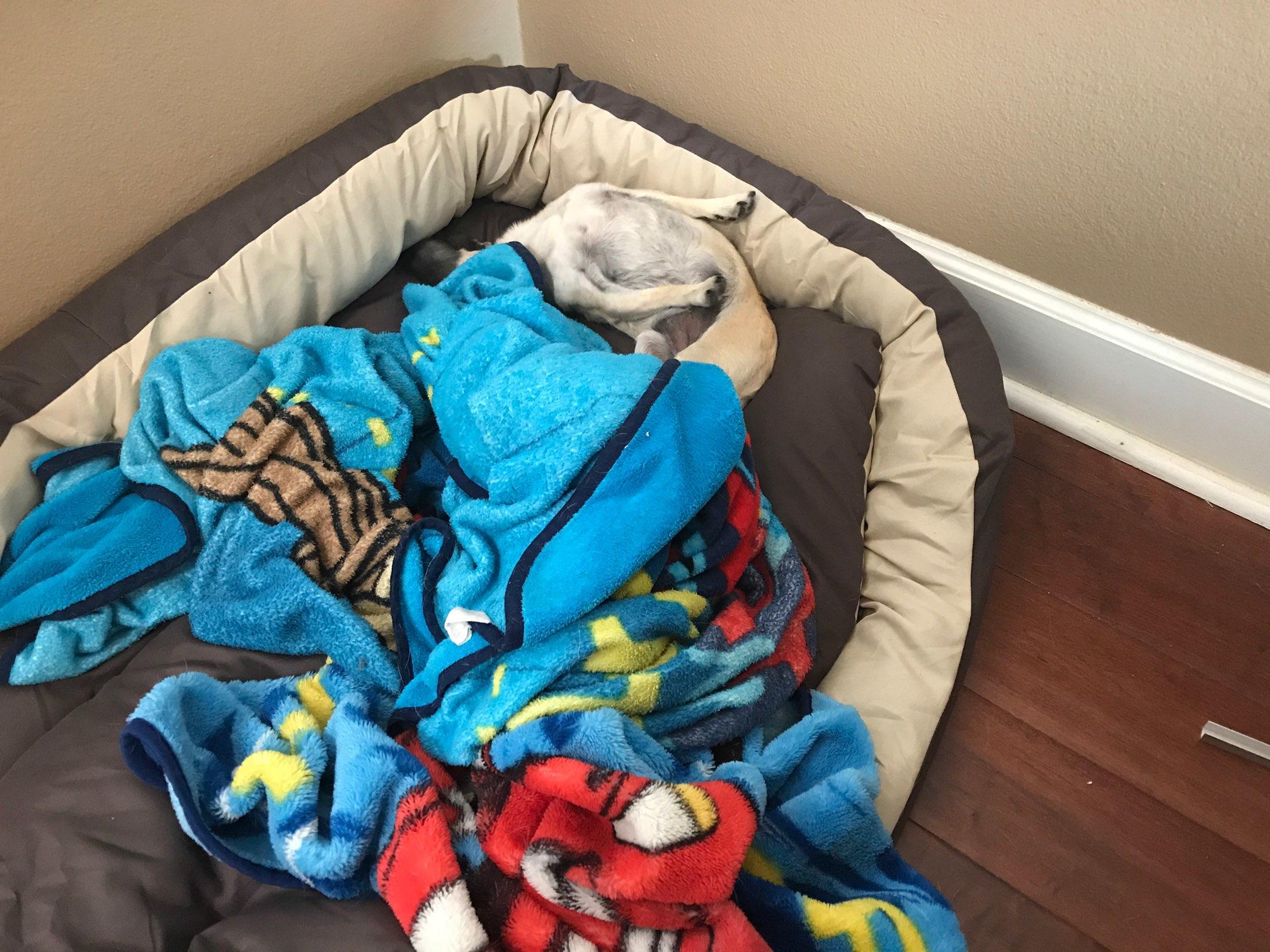 Abel Freeman (Student)