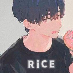 白飯Rice