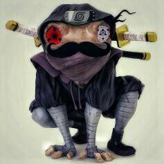 ShinobiFrog