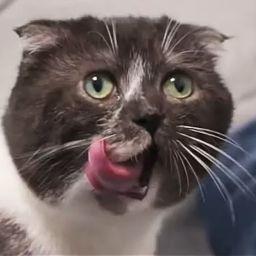 영진이와김진원