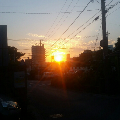 🥒( '-' 🥒 )ｽﾞｯｷｰﾆｨ