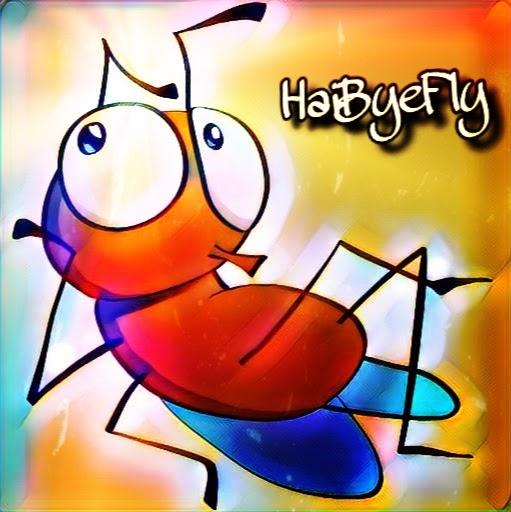 haibye fly