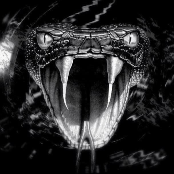 Black Mamba Gaming