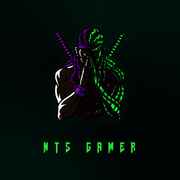 NTS gamer