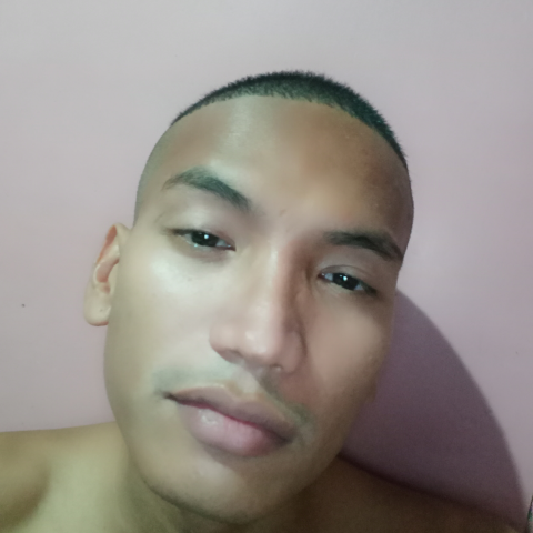 Johnjoe Dupa