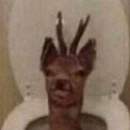 NIGHTMARE i