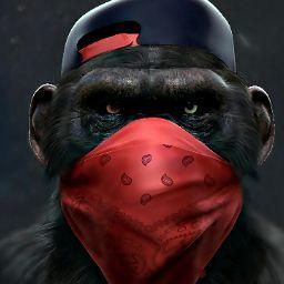 SHIKAMARU GABRIEL NEW