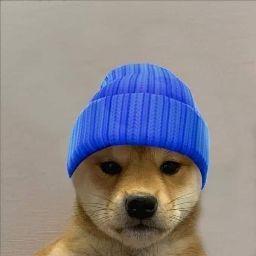 José jaime Serrano Martínez